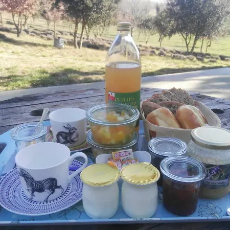 Du Grand Chene 招待所 瓦朗索尔