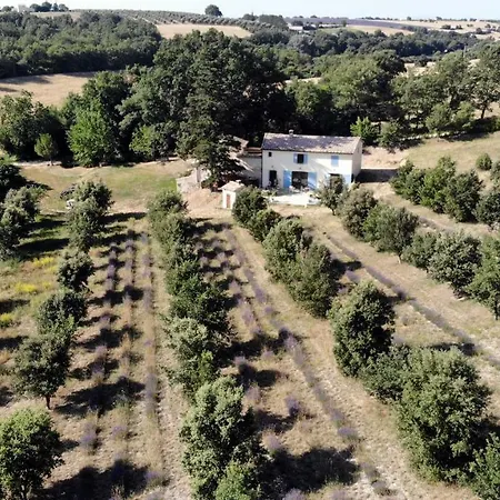 招待所 Du Grand Chene 3*