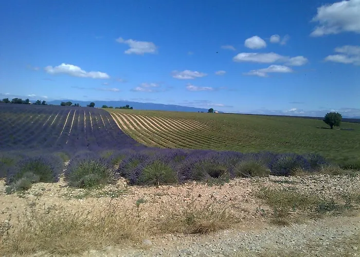 Du Grand Chene Pensjonat Valensole