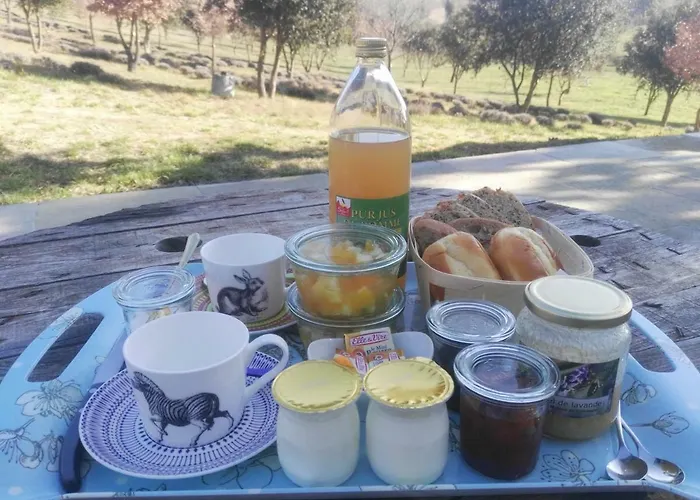 Du Grand Chene Guest house Valensole